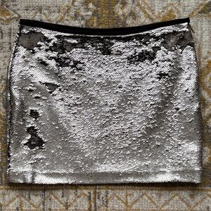 Zara Medium Sequin Mini Skirt
